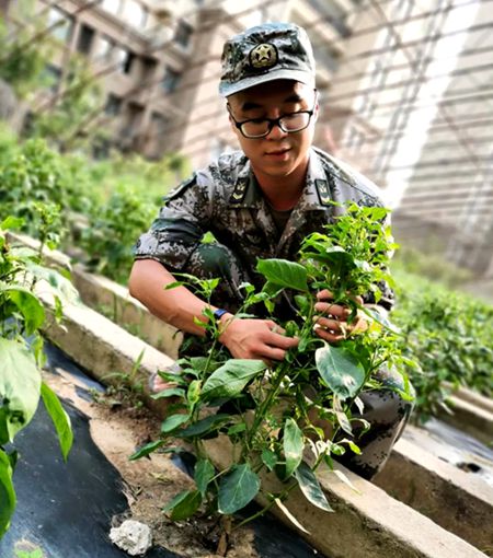 当兵就要当个好兵—记陆军第71集团军王杰部队陈江海