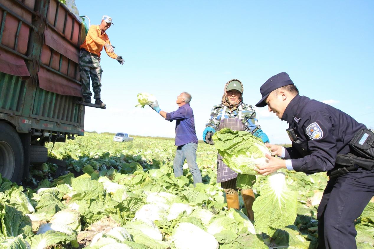 冰城公安打响粮食安全“保卫战” 坚决守好群众“粮袋子”