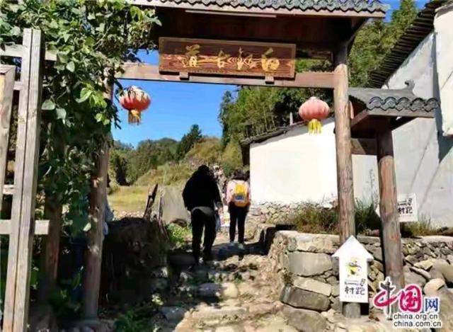 「中国网」福建周宁“云端之城、醉美山城”邀你去做客品茶(图1)