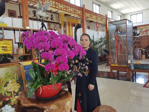 清静之心求正果——记艺术新秀焘云女士 