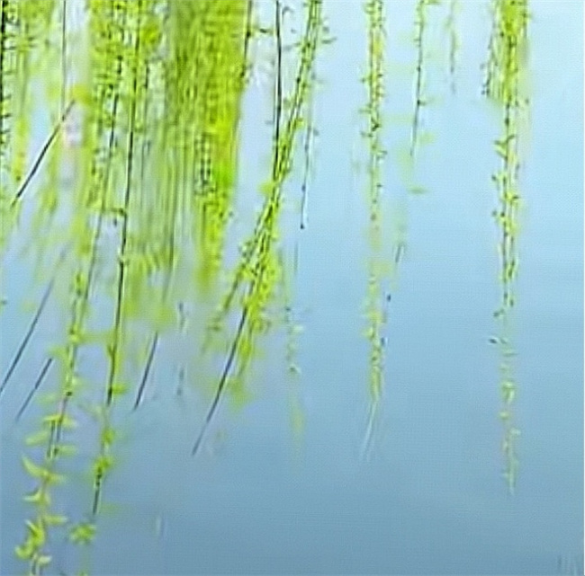 《清明红色大本营》 佟麟阁故居