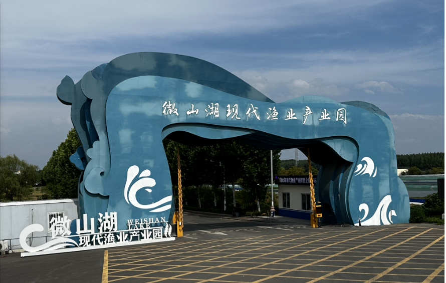 山东济宁：微山湖现代渔业产业园工厂化水循环养殖见成效