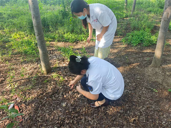 安徽省太和县疾控部门发布紧急警示：“雨后