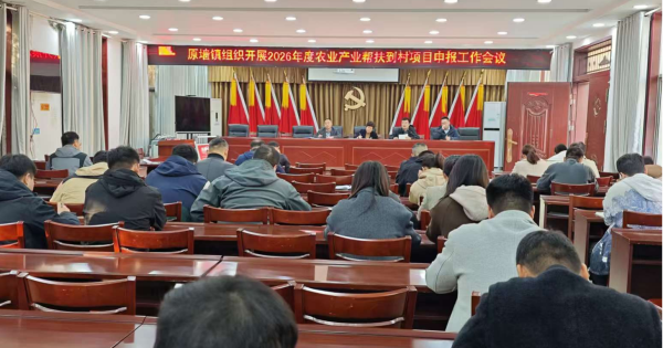 安徽省太和县原墙镇开展2026年度农业产业帮扶到村项目申报工作