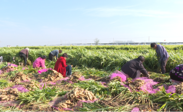 1763163890974552.png 图片3.png