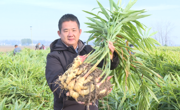 1763163918115475.png 图片4.png