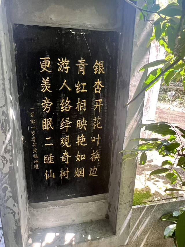 图片 7.jpg