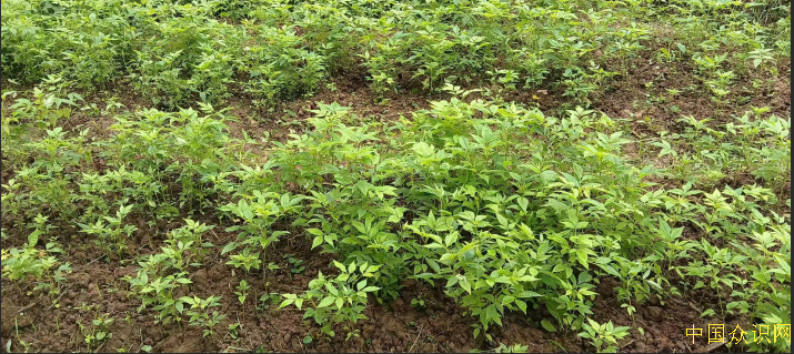 QQ20260703-151134.png