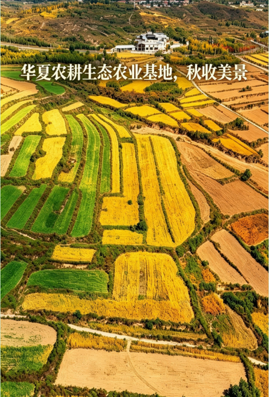 24f52034-7753-406b-b2f2-644bc4fba0ba.png