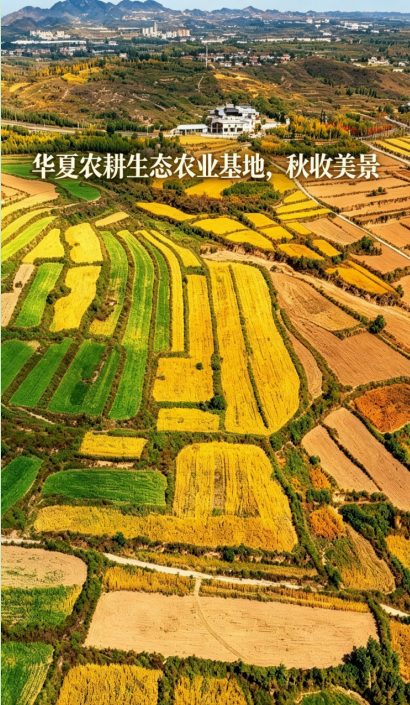 礼赞小米故乡邯郸谷 献礼世界粮食日
